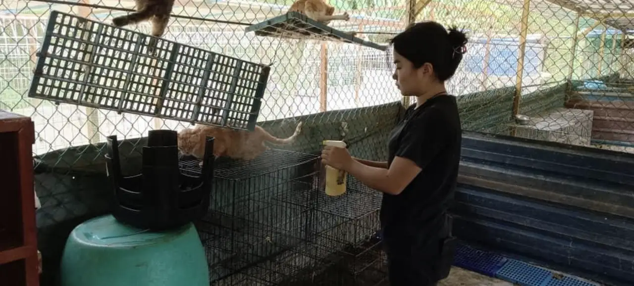 join-our-movement-img 1