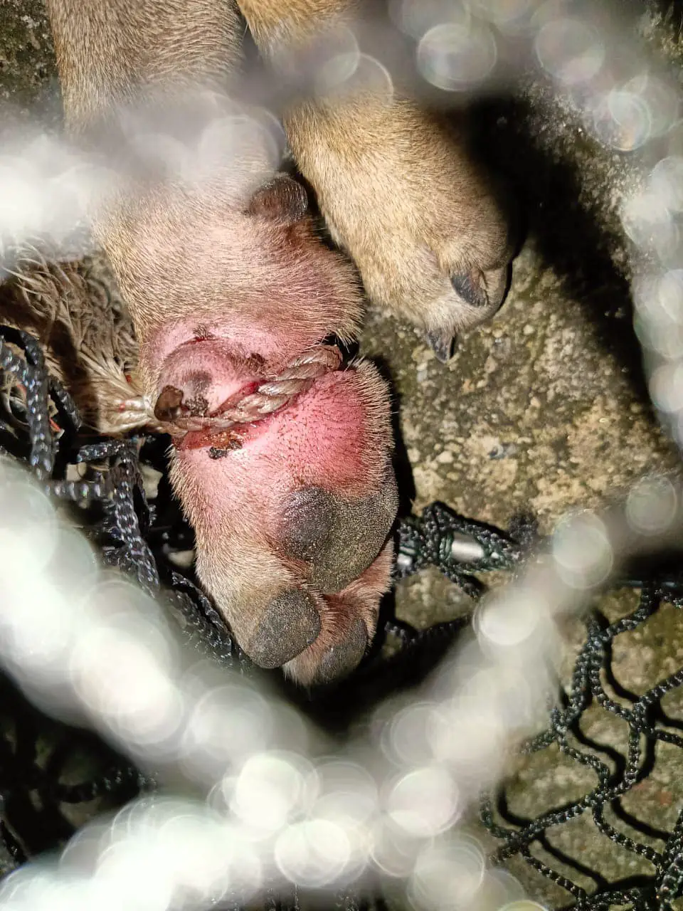 join-our-movement-img3