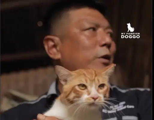 foreverdoggo-thumbnail